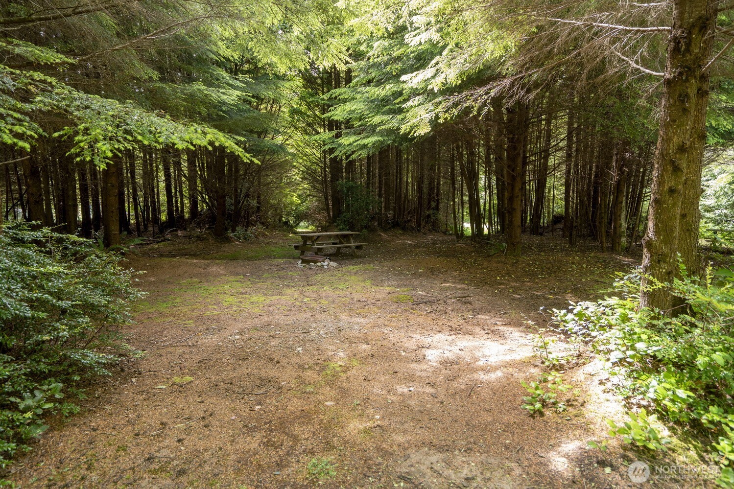 20860 Hoko-ozette Rd Property Photo 16