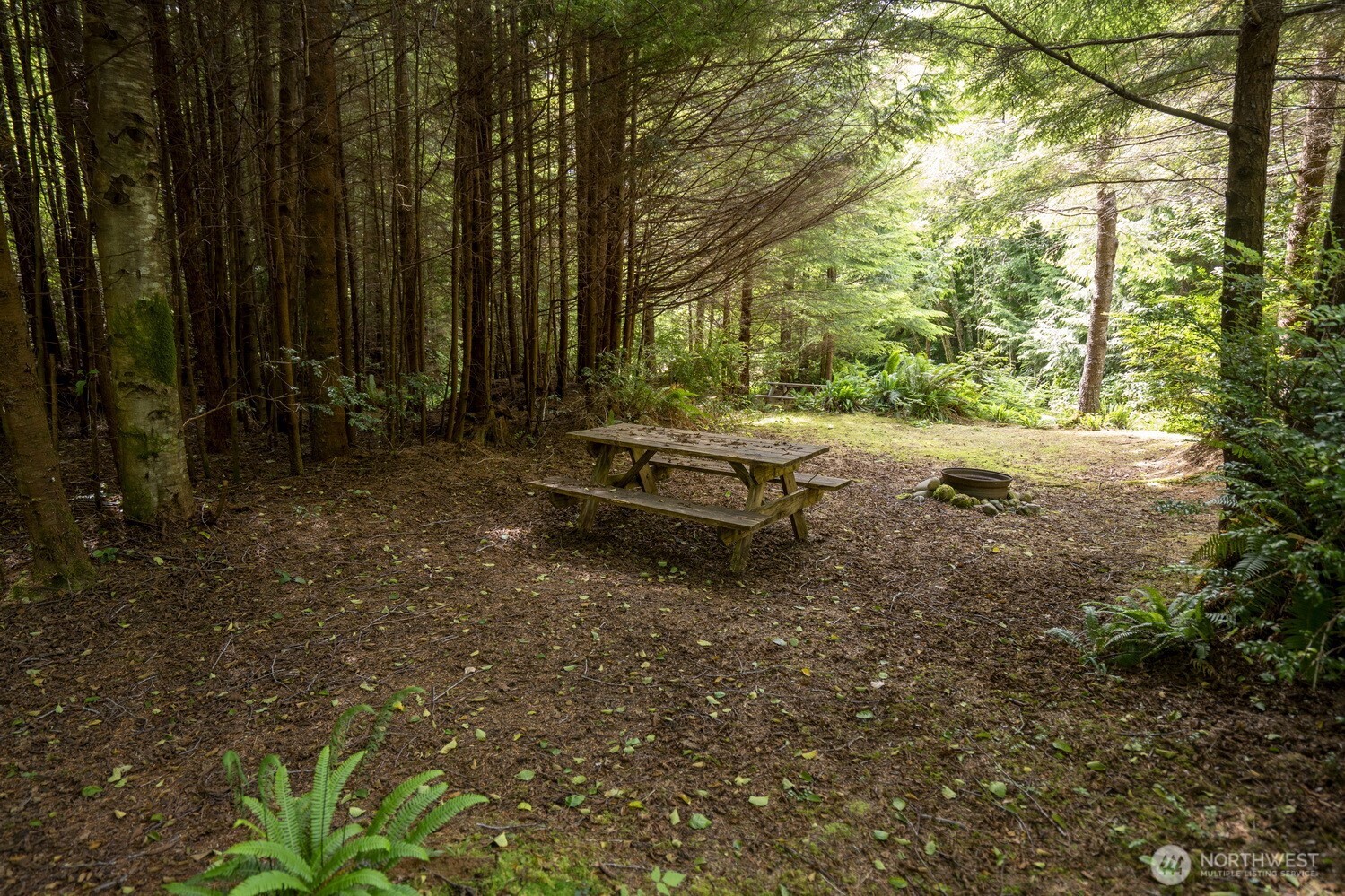 20860 Hoko-ozette Rd Property Photo 17