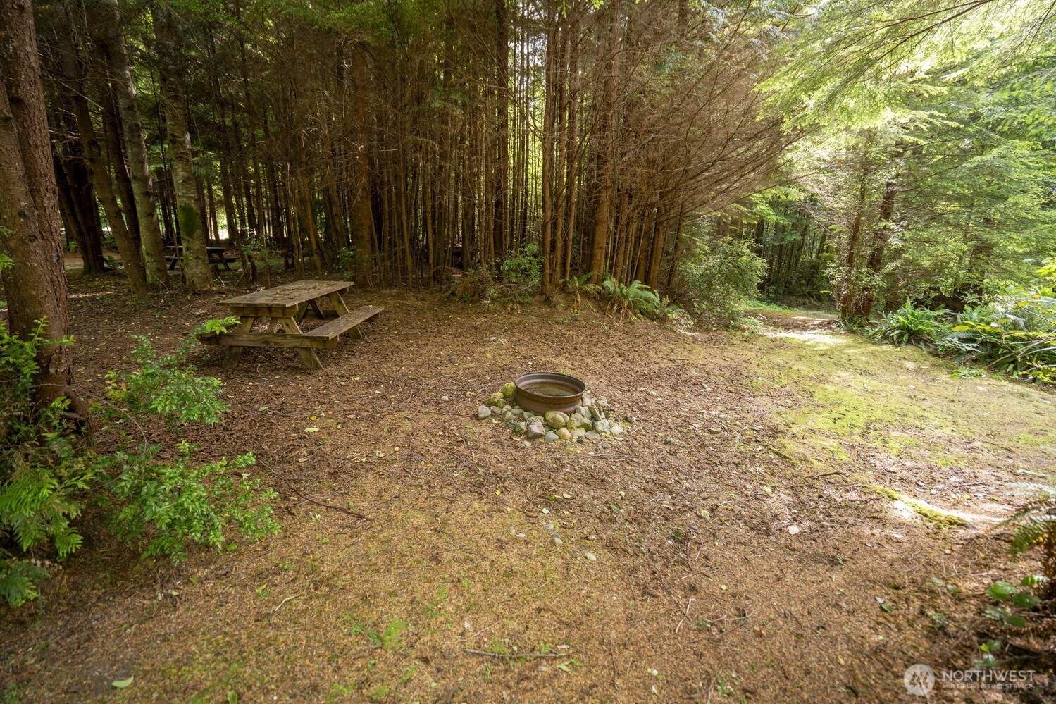 20860 Hoko-ozette Rd Property Photo 18