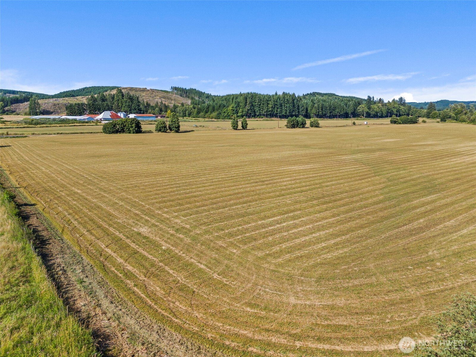 627 Wynoochee Valley Road Property Photo 6