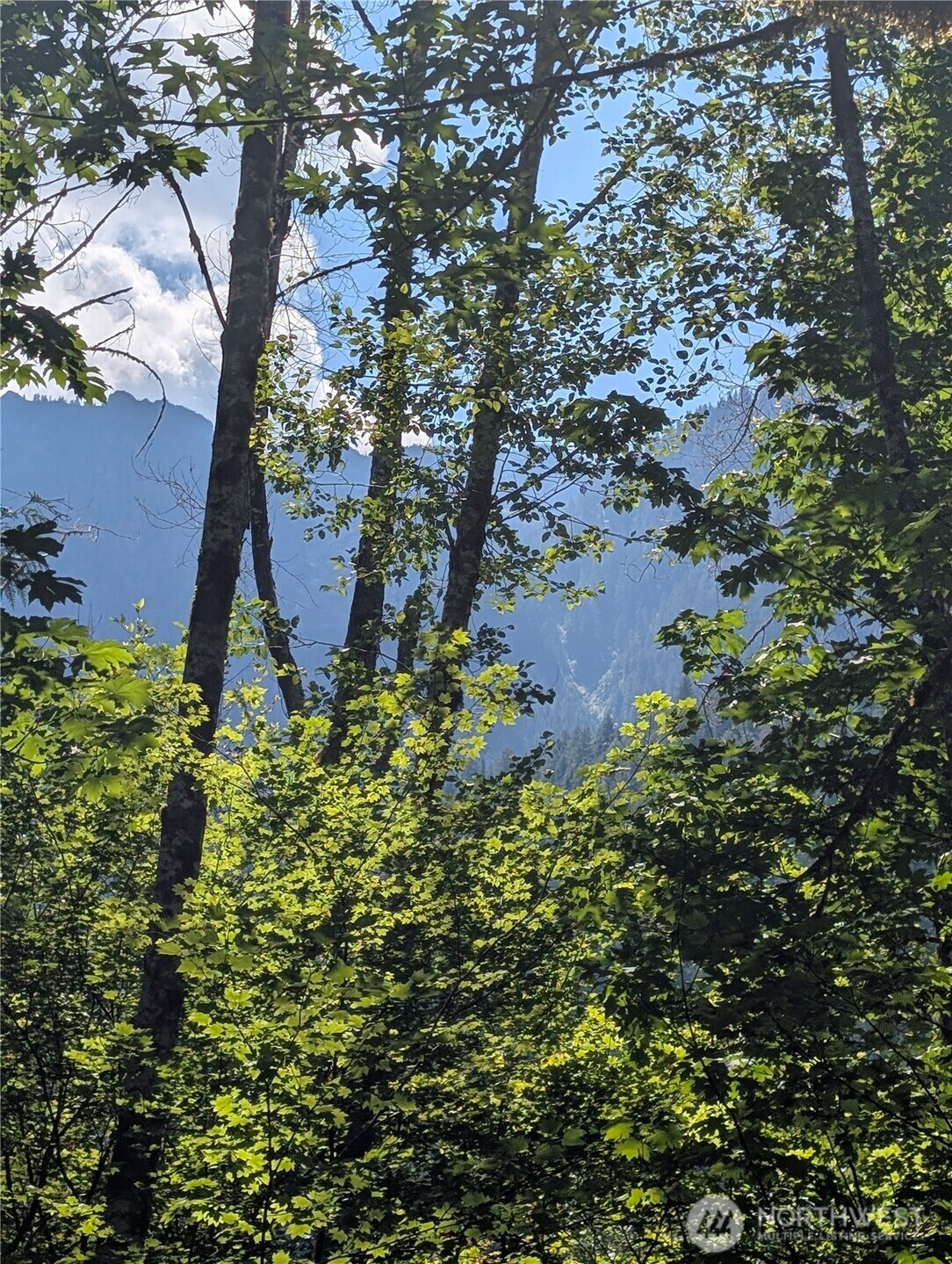 0 Clear Creek Road Property Photo 1