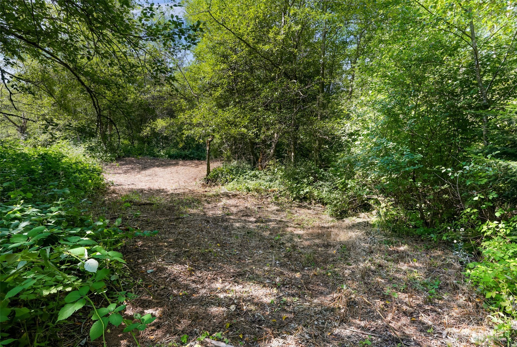 351 W Silverado Court Property Photo 8