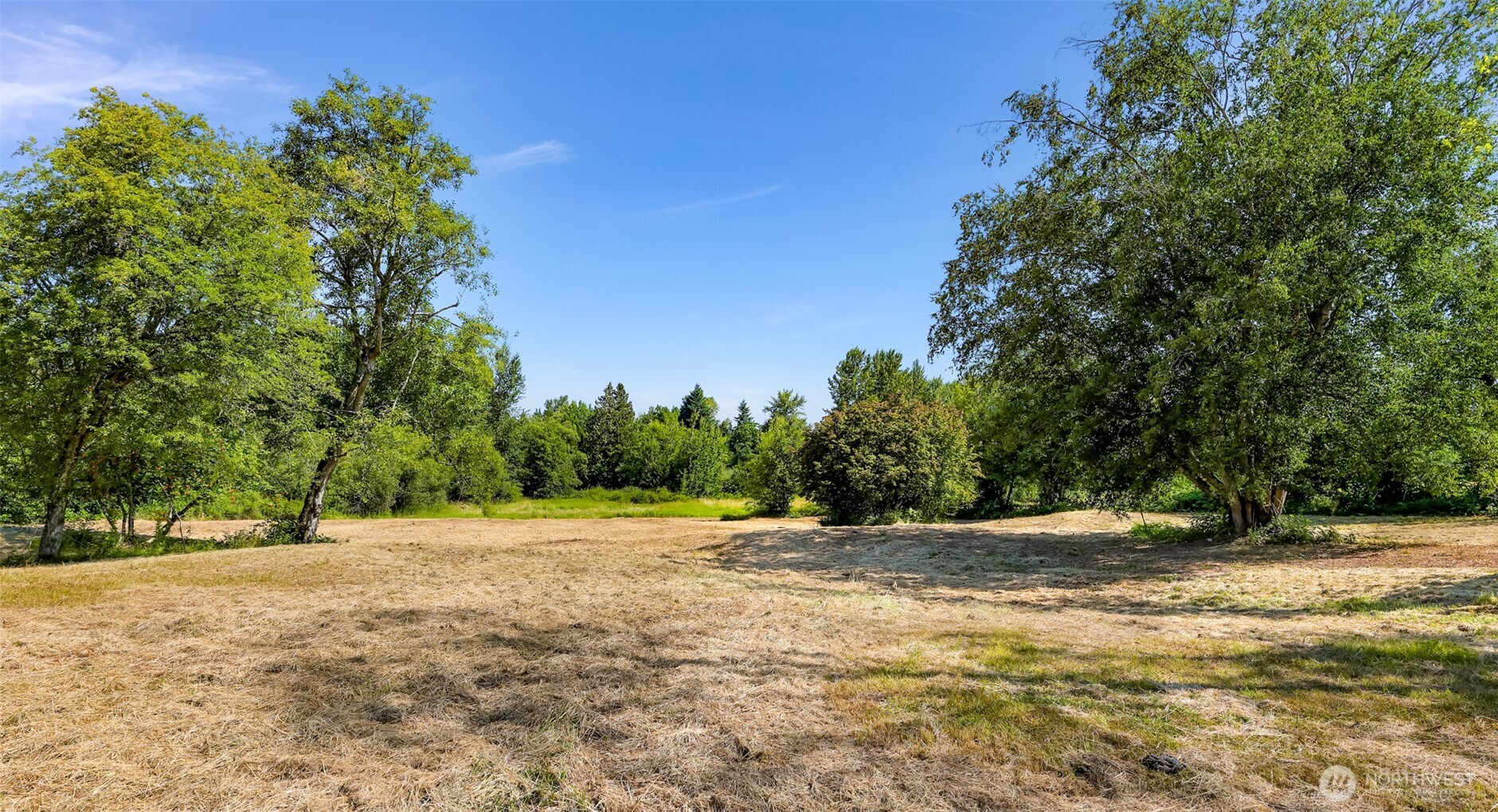 353 E Silverado Court Property Photo 6