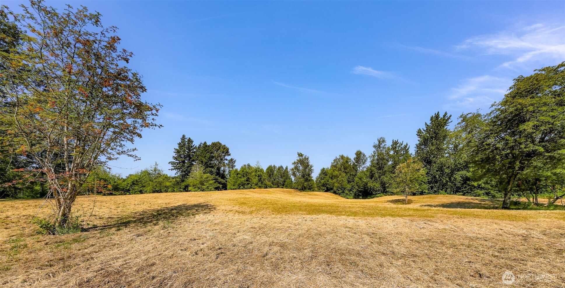 353 E Silverado Court Property Photo 8