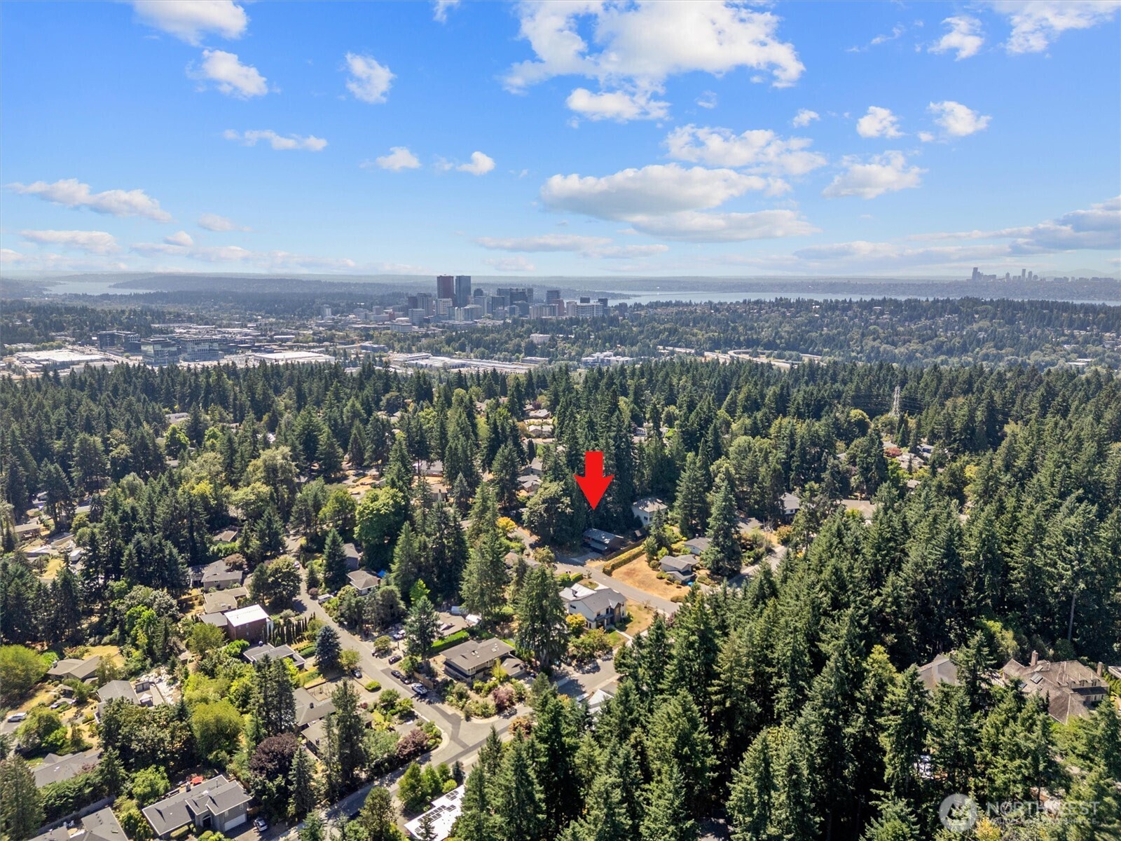 3107 127th Avenue Property Photo 31