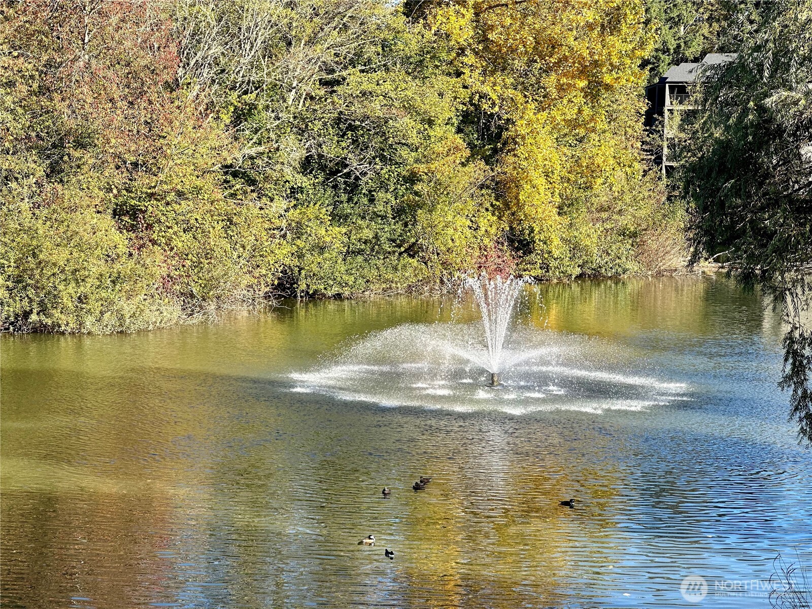 13896 Ne 66th Street 586 Property Photo 31