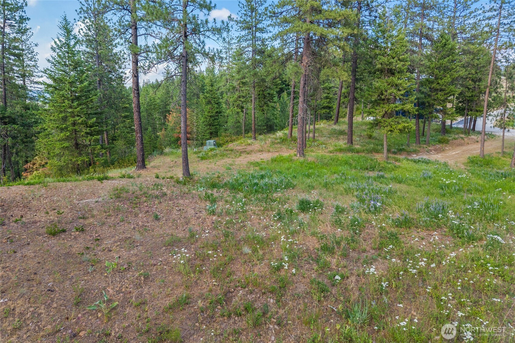 694 Palmer Lane Property Photo 1