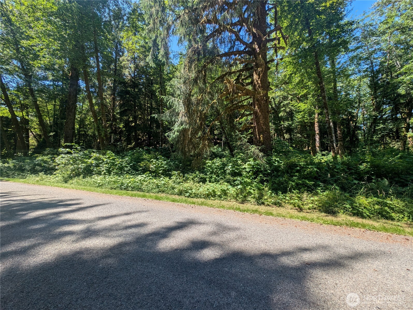 999 Kallman Road Property Photo 6
