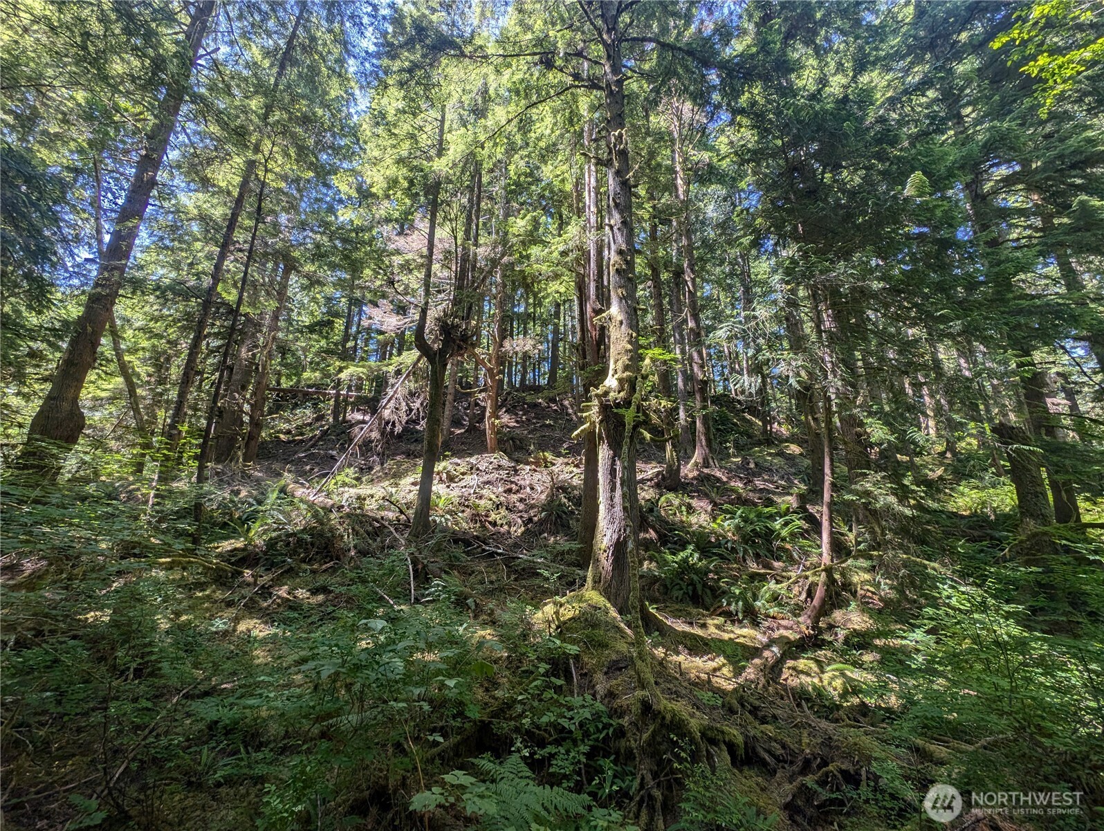 999 Kallman Road Property Photo 8