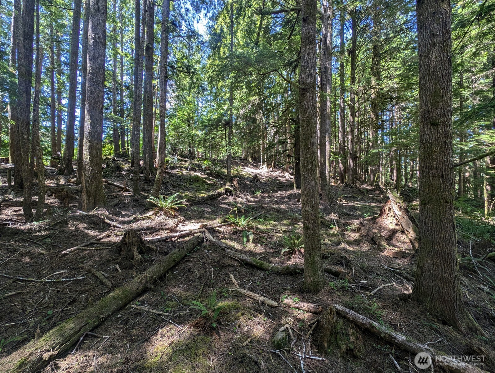999 Kallman Road Property Photo 18