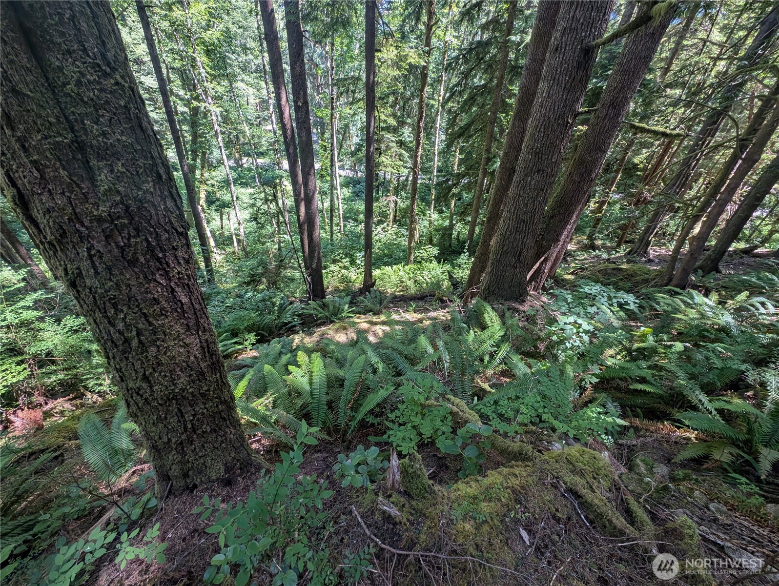 999 Kallman Road Property Photo 22