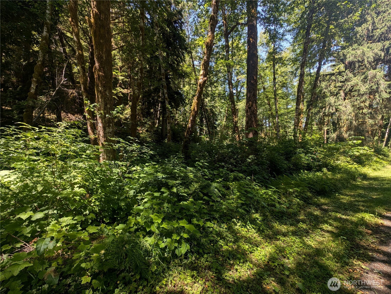 999 Kallman Road Property Photo 28