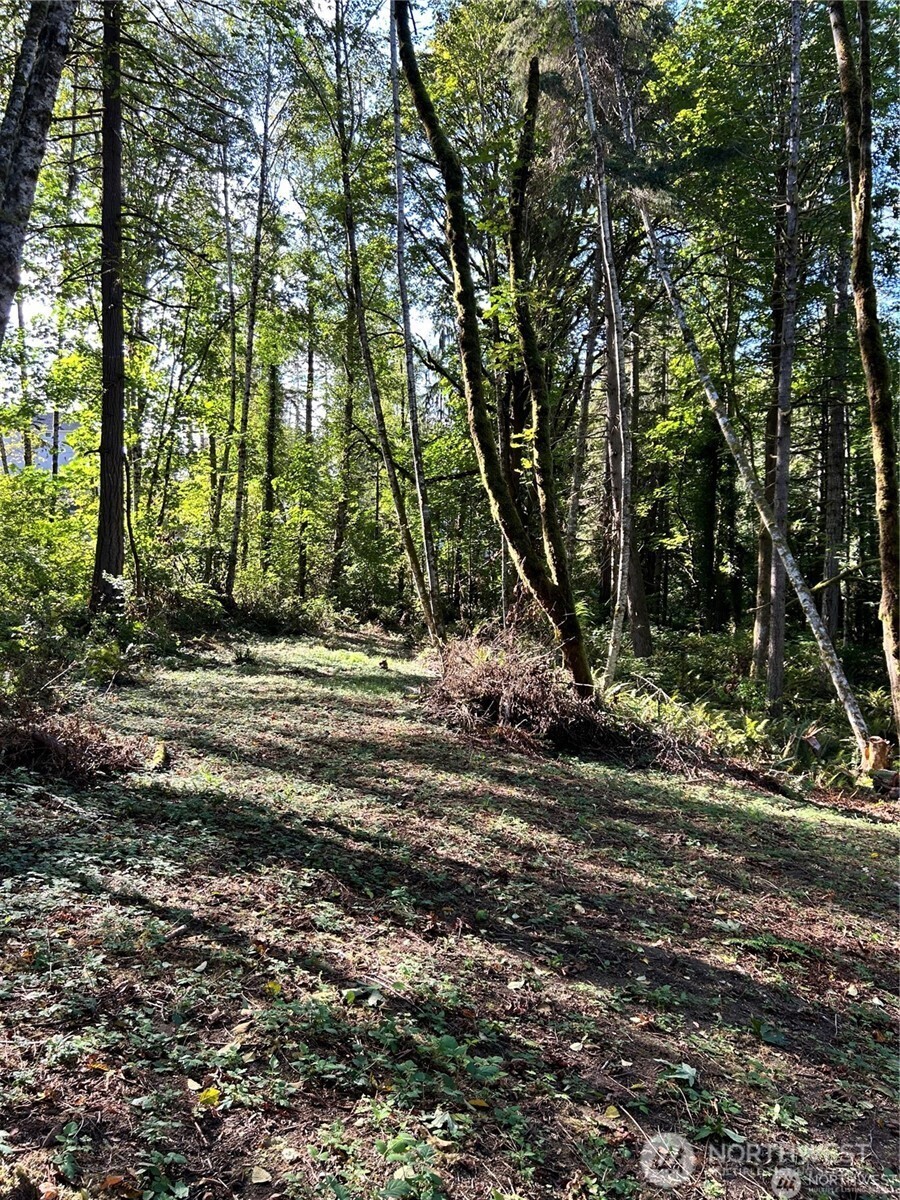 0 Ne Dawn Road Property Photo 5
