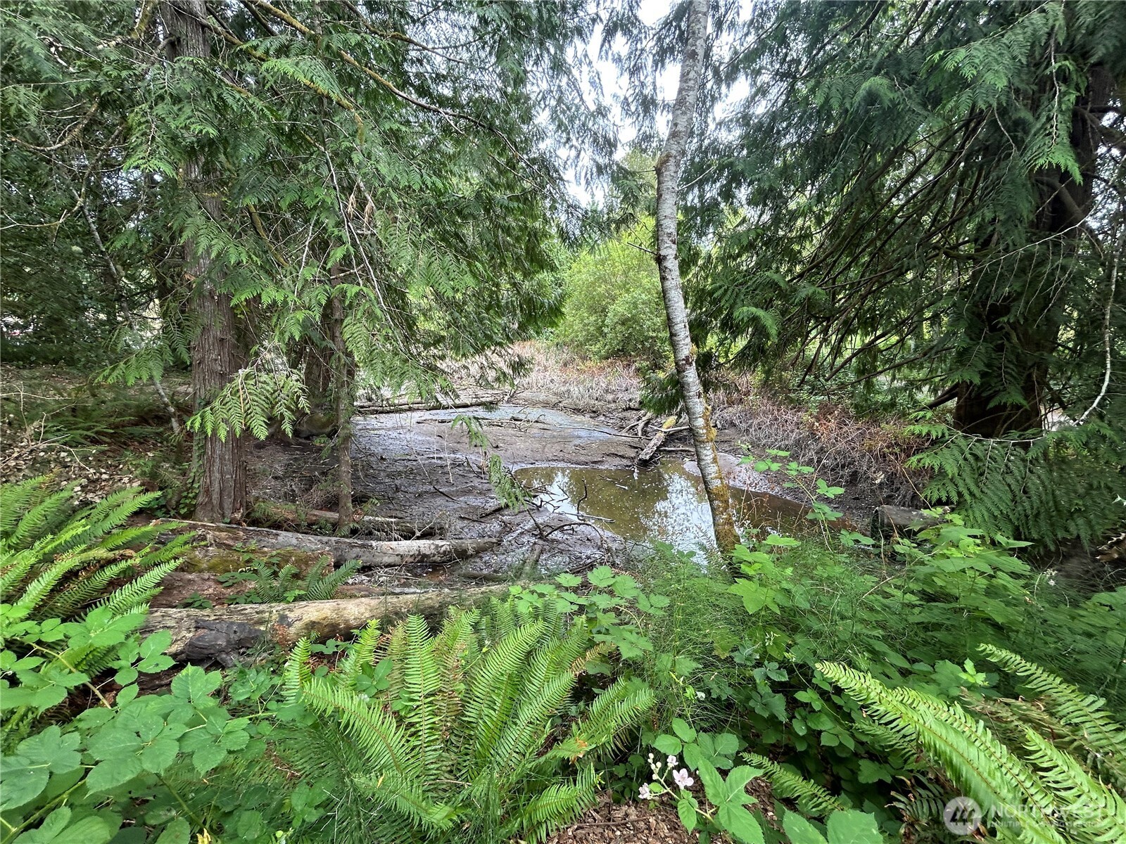 19401 Whiteman Cove Road Property Photo 7