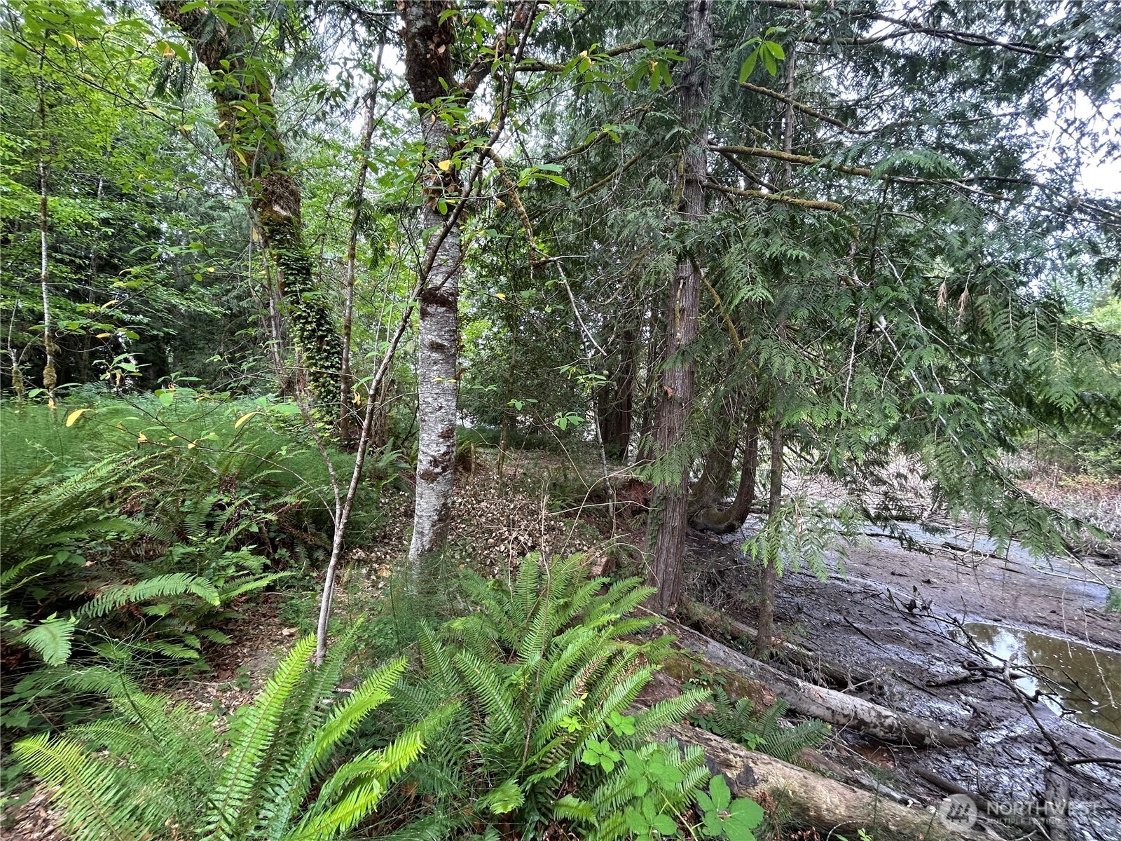 19401 Whiteman Cove Road Property Photo 8