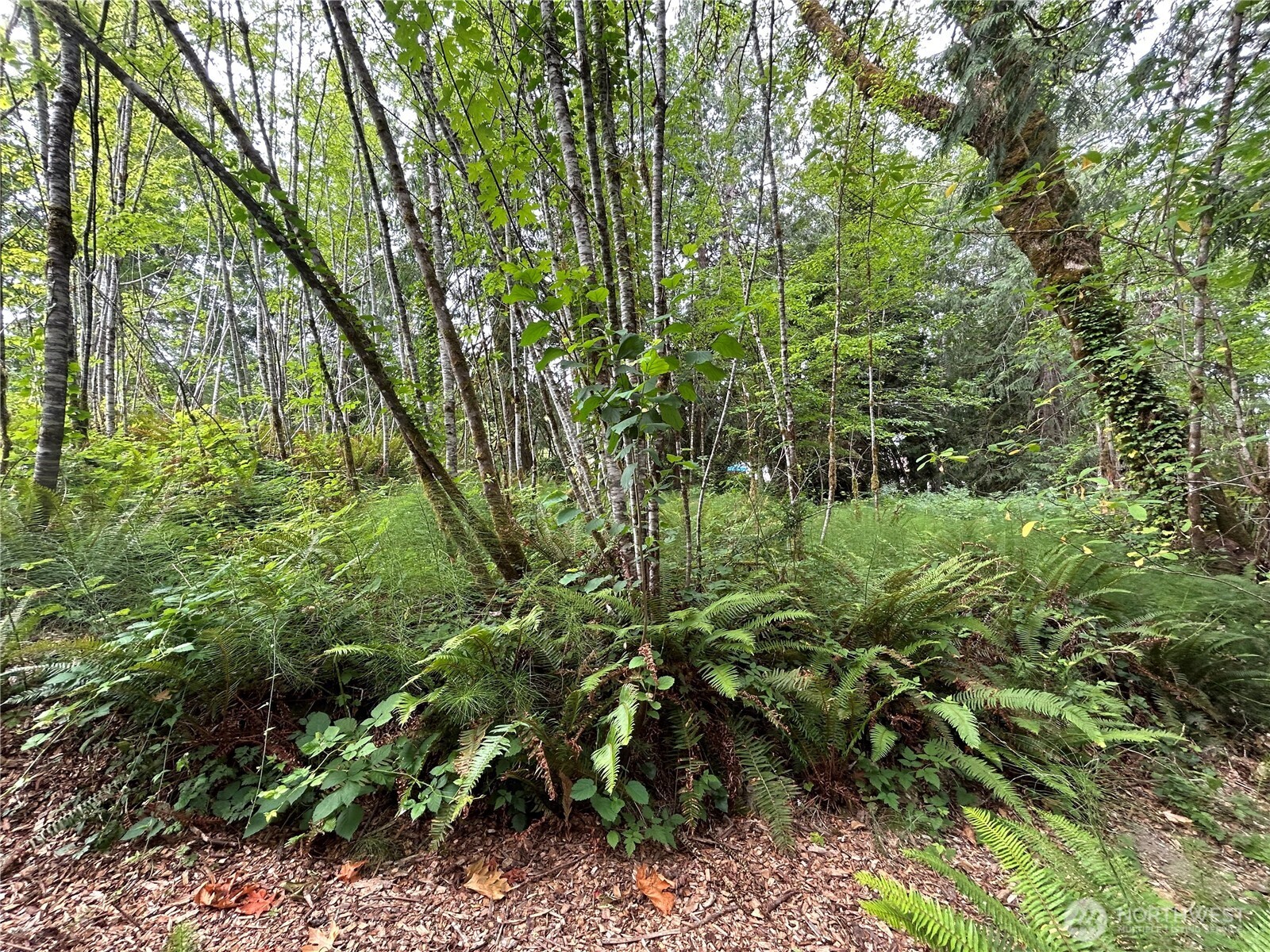 19401 Whiteman Cove Road Property Photo 9