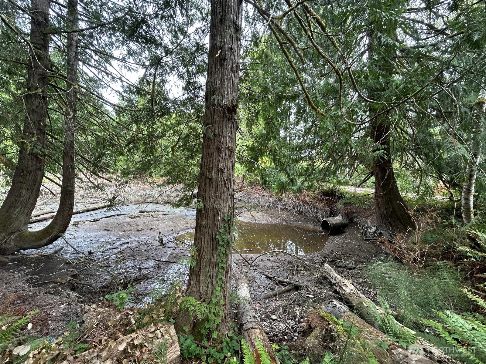 19401 Whiteman Cove Road Property Photo 10