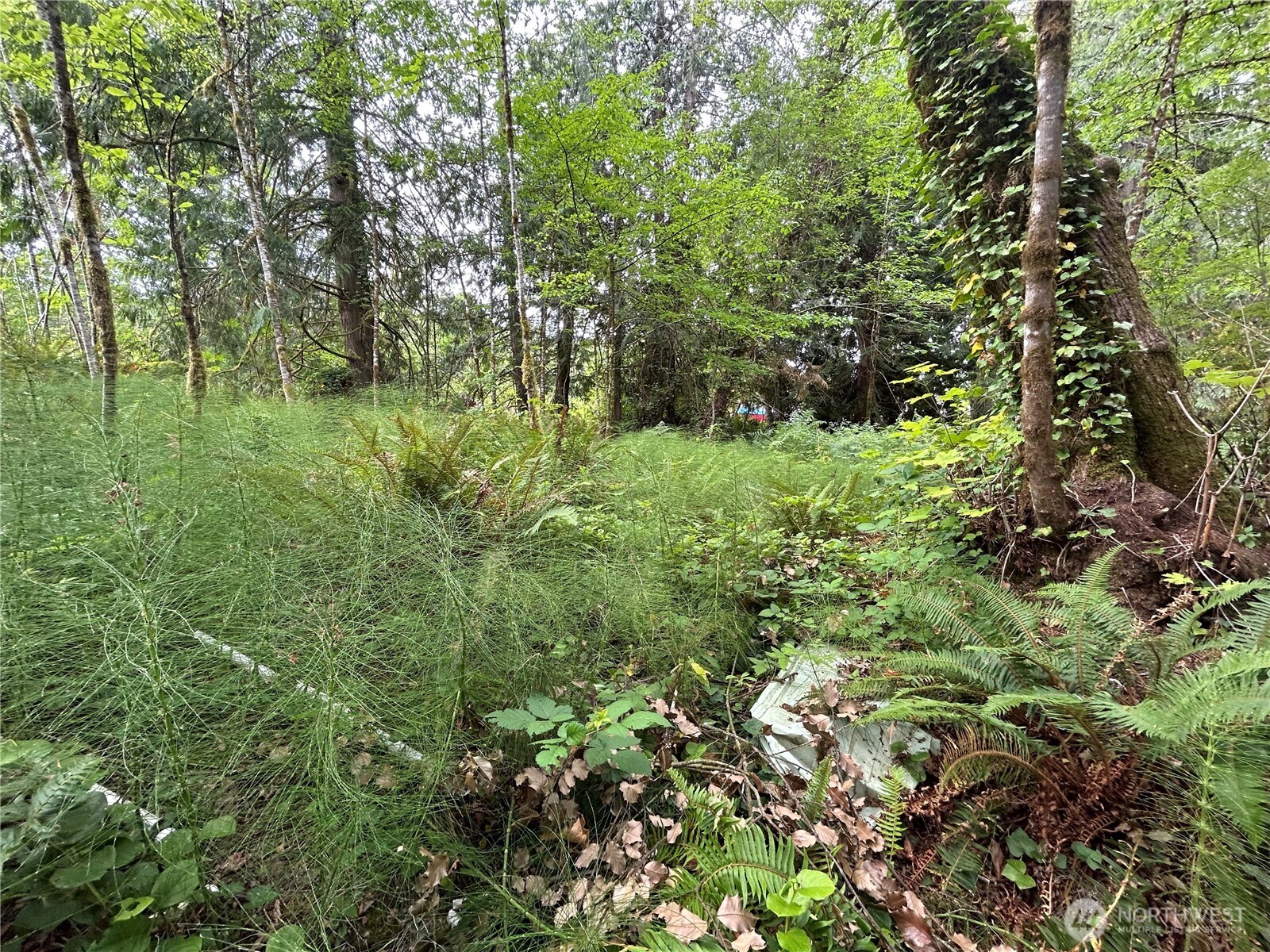 19401 Whiteman Cove Road Property Photo 11