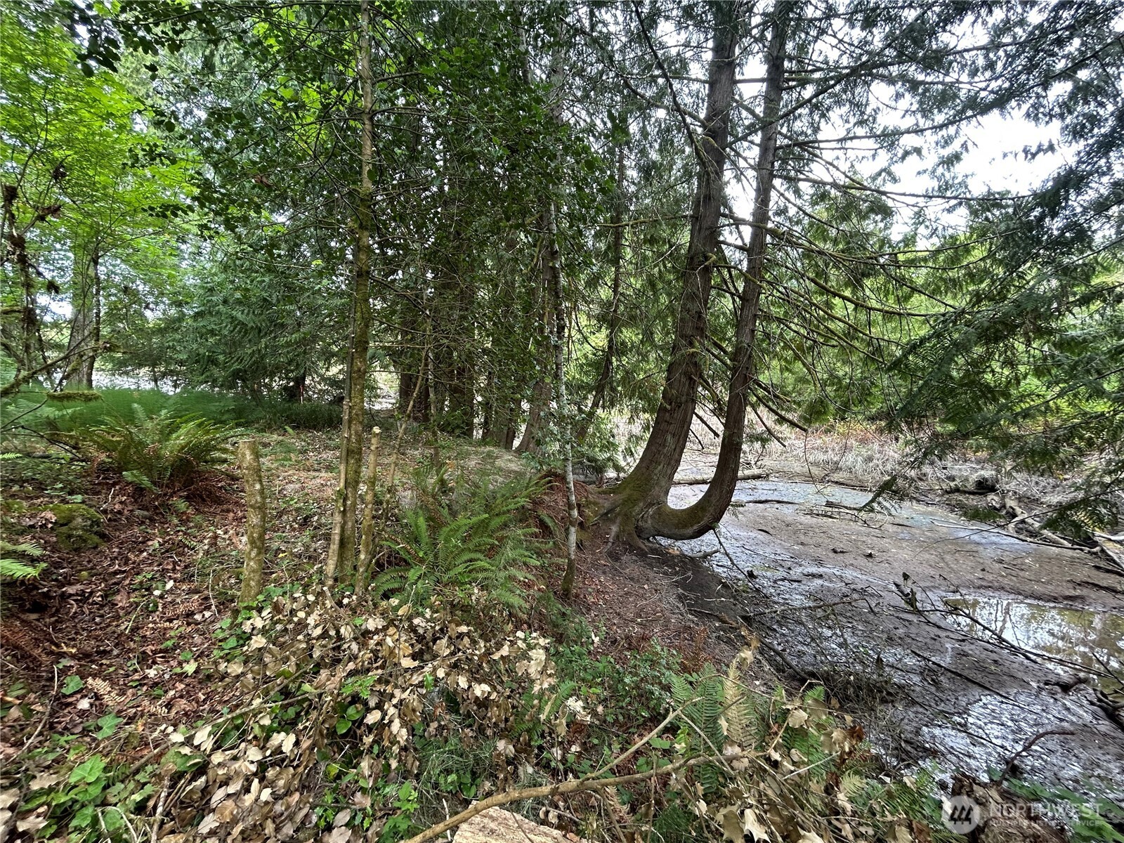 19401 Whiteman Cove Road Property Photo 12