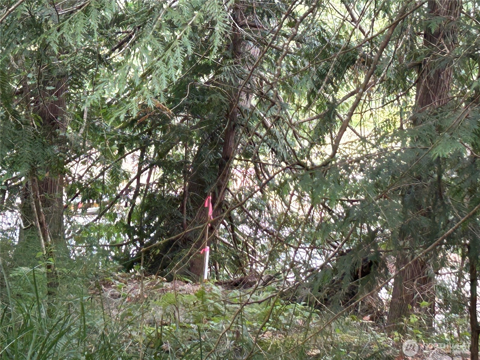 19401 Whiteman Cove Road Property Photo 13