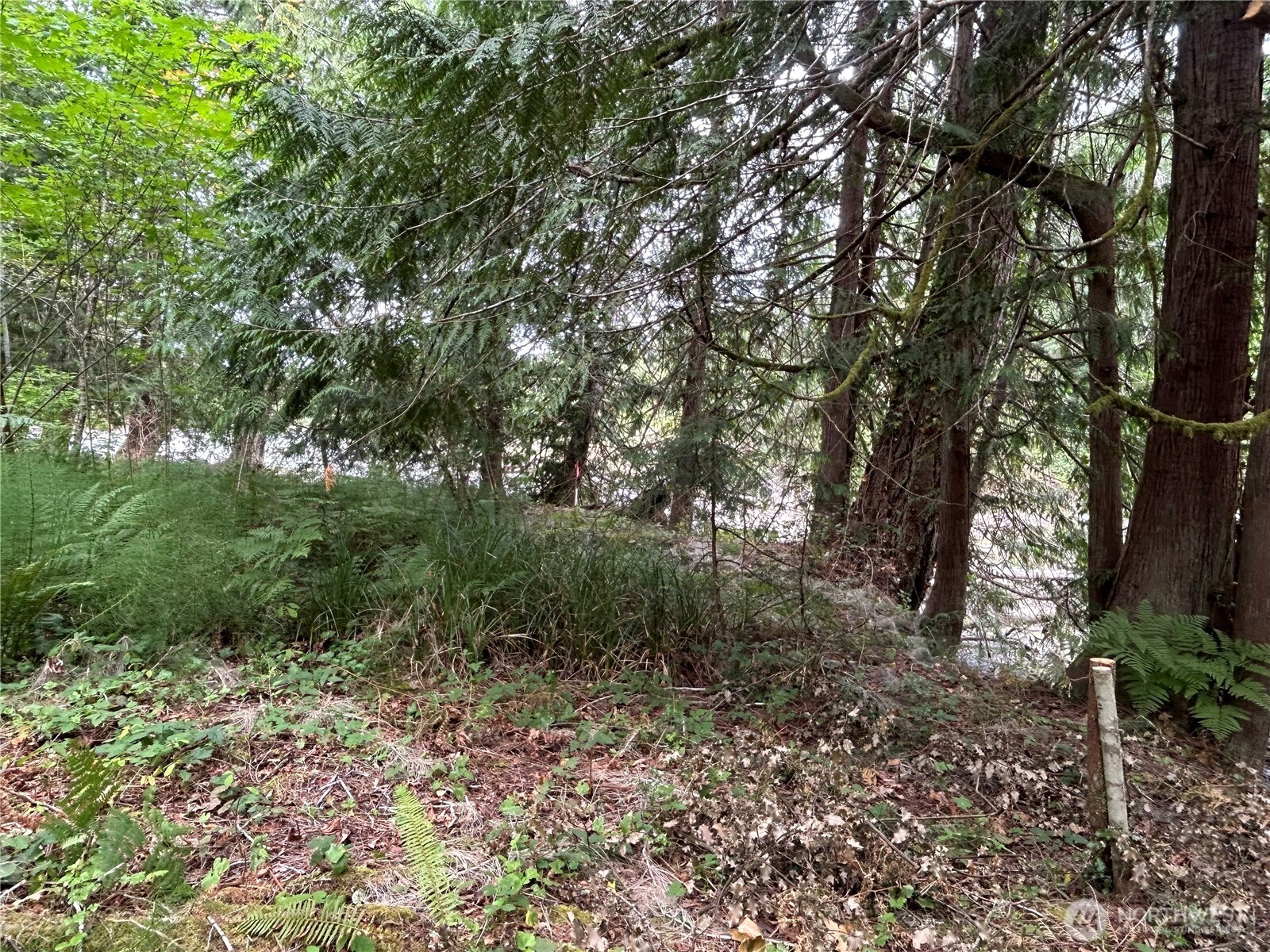19401 Whiteman Cove Road Property Photo 14