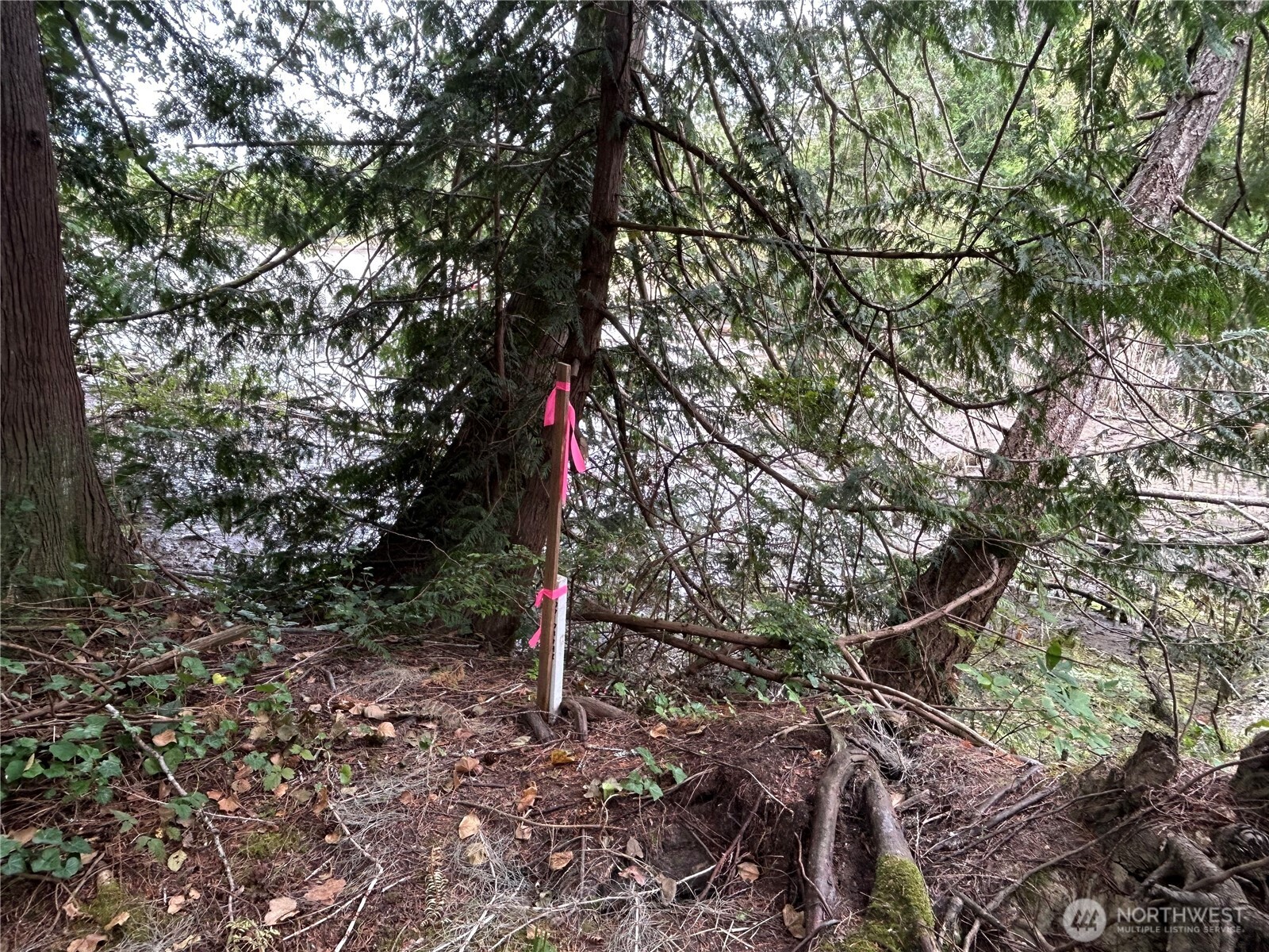 19401 Whiteman Cove Road Property Photo 15