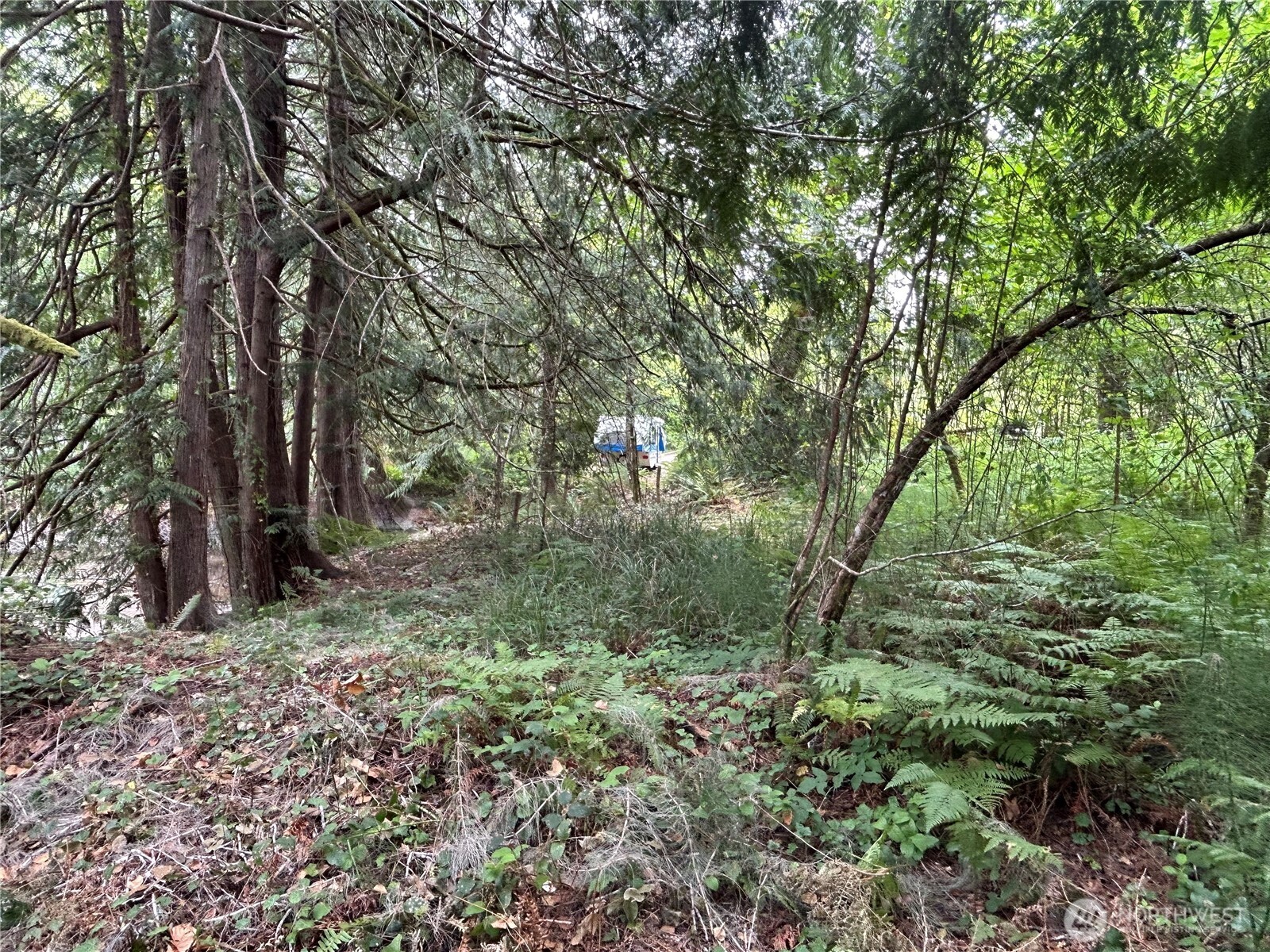 19401 Whiteman Cove Road Property Photo 16