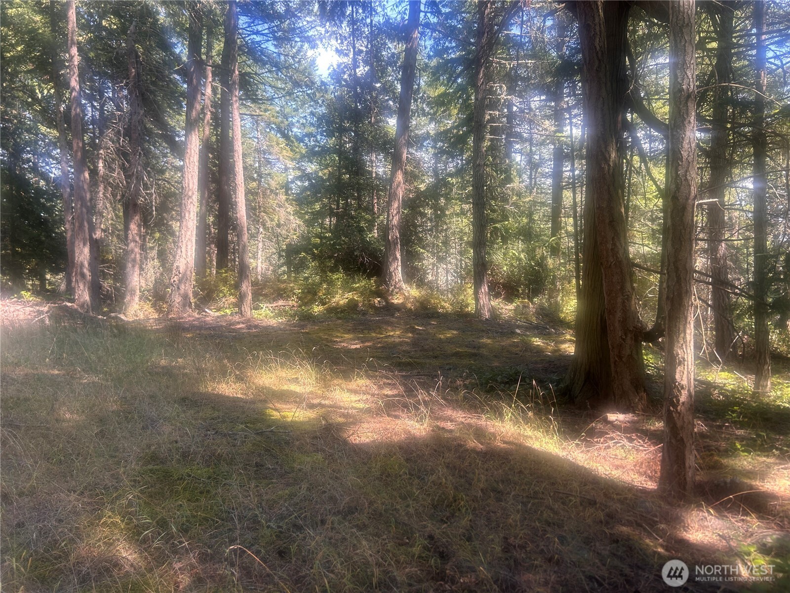 0 Xx Rocky Road Property Photo 2