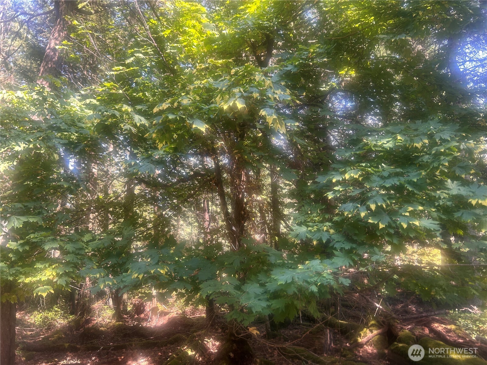 0 Xx Rocky Road Property Photo 4