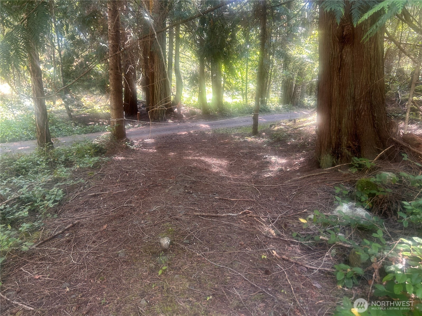 0 Xx Rocky Road Property Photo 5
