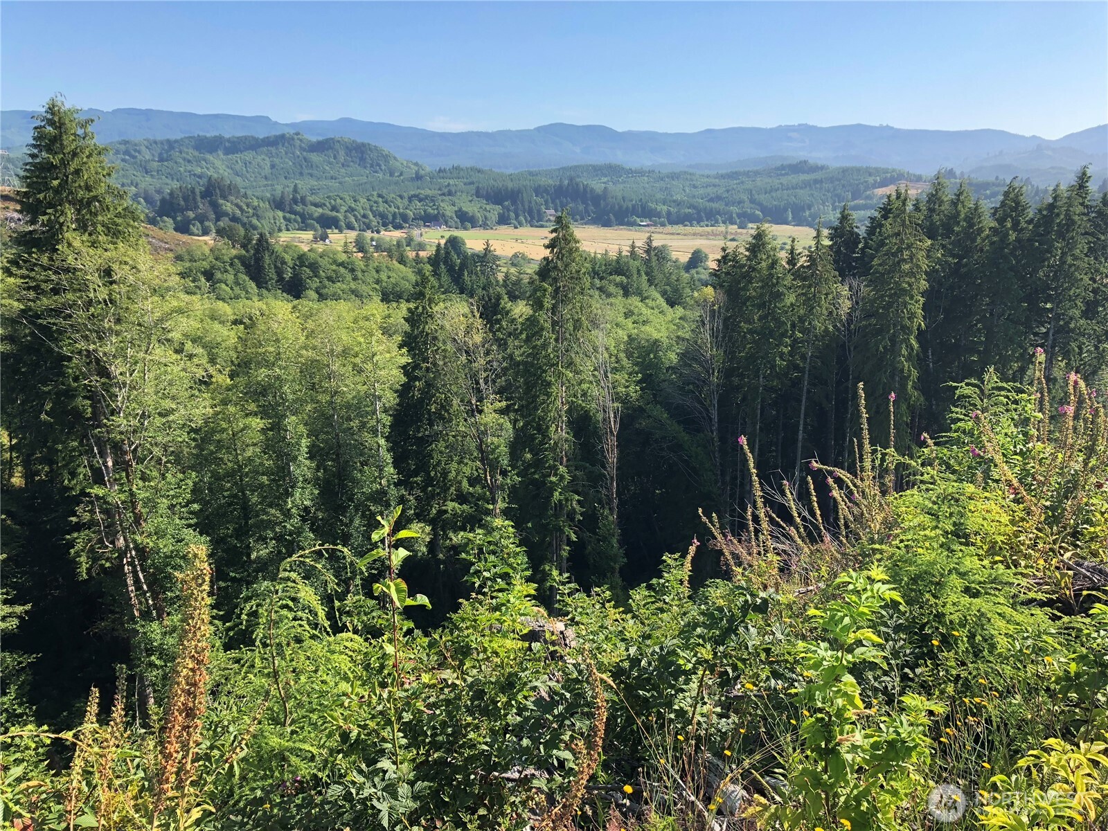 0 Lot B State Route 4 Highway Property Photo 1