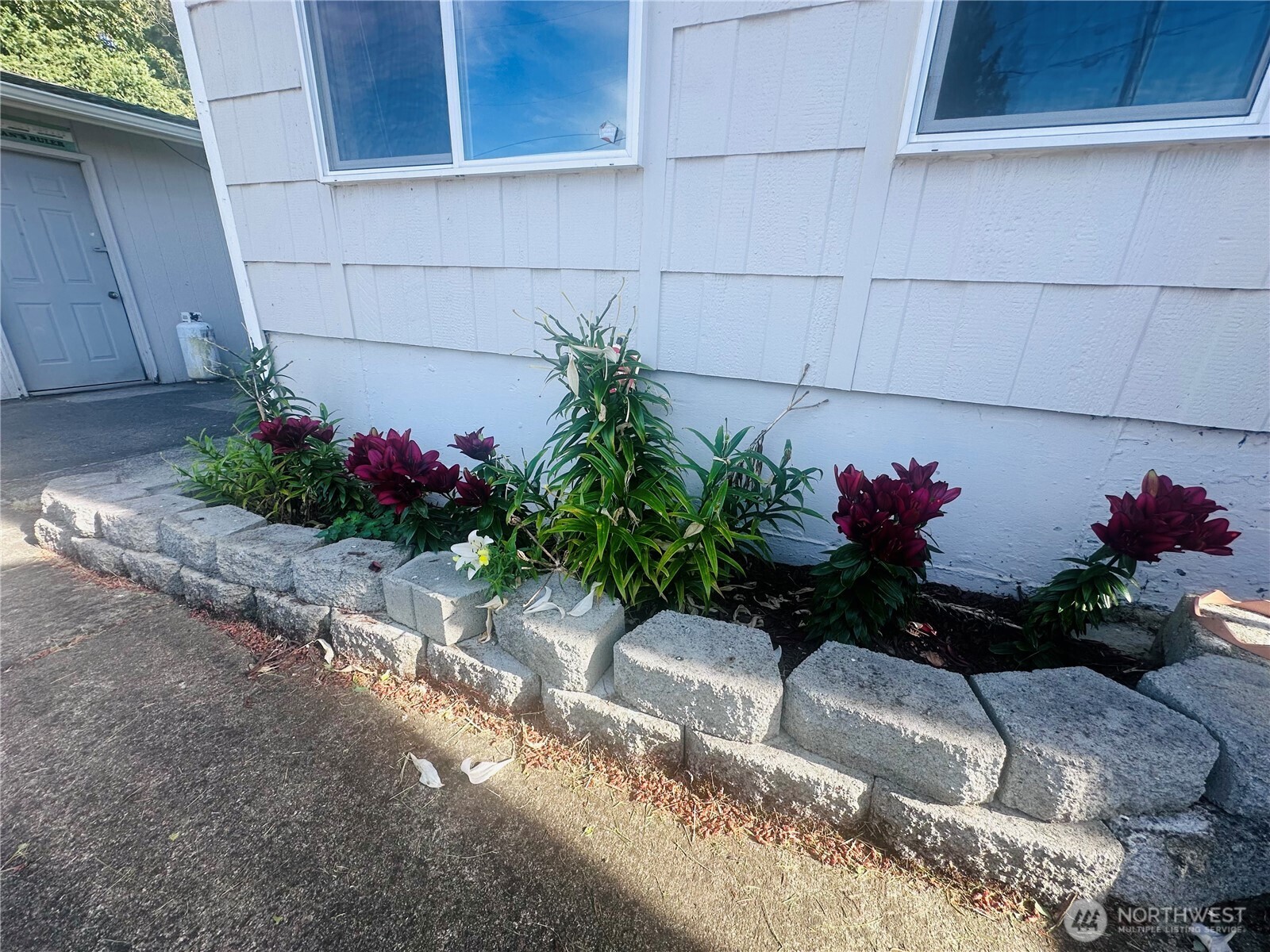 10223 Sitkum Drive Property Photo 32