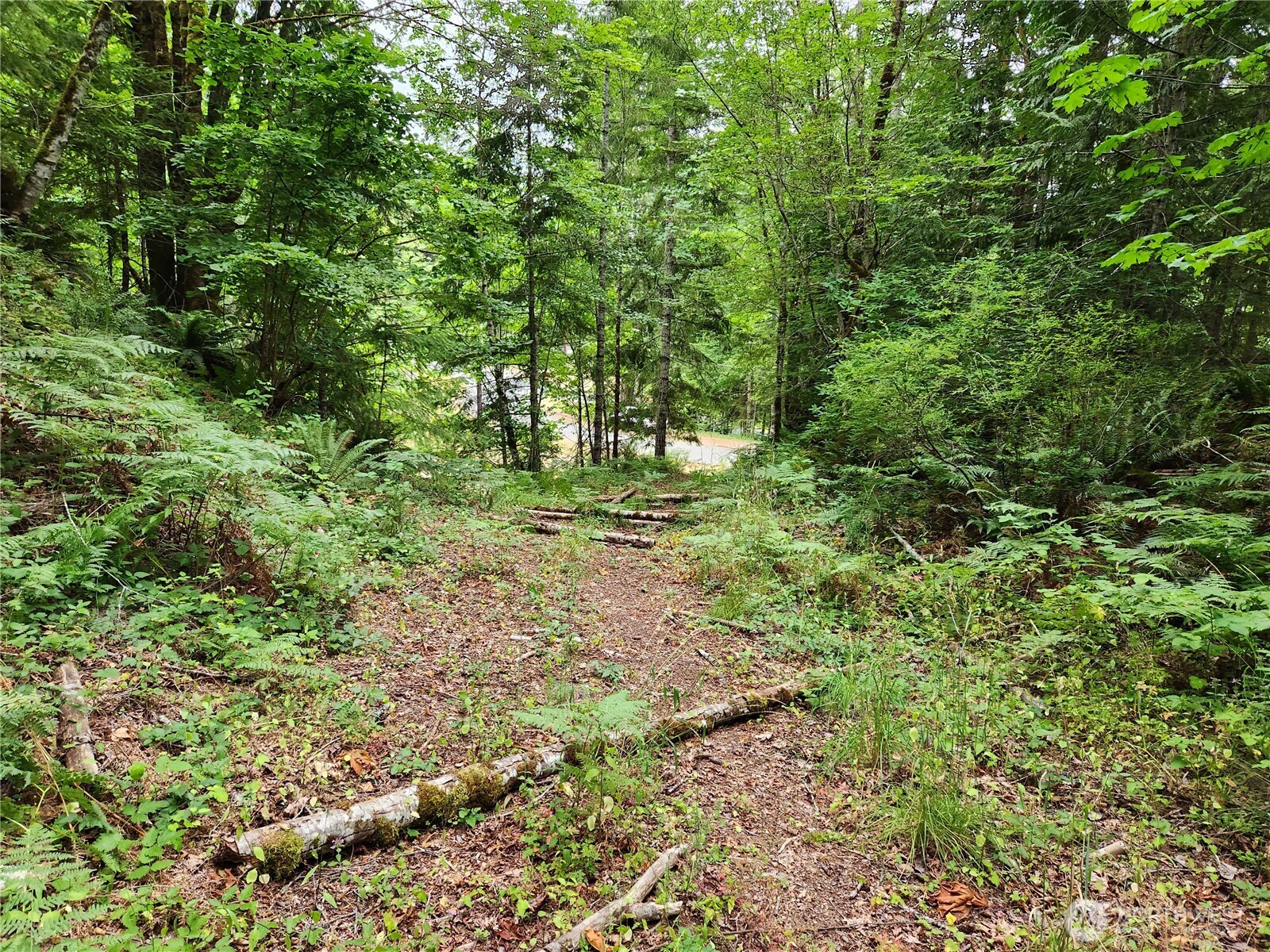 0 Lot 231 Arabian Drive Property Photo 14