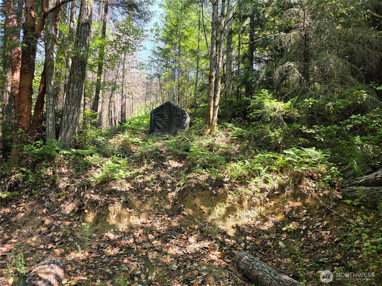 0 Lot 231 Arabian Drive Property Photo 16