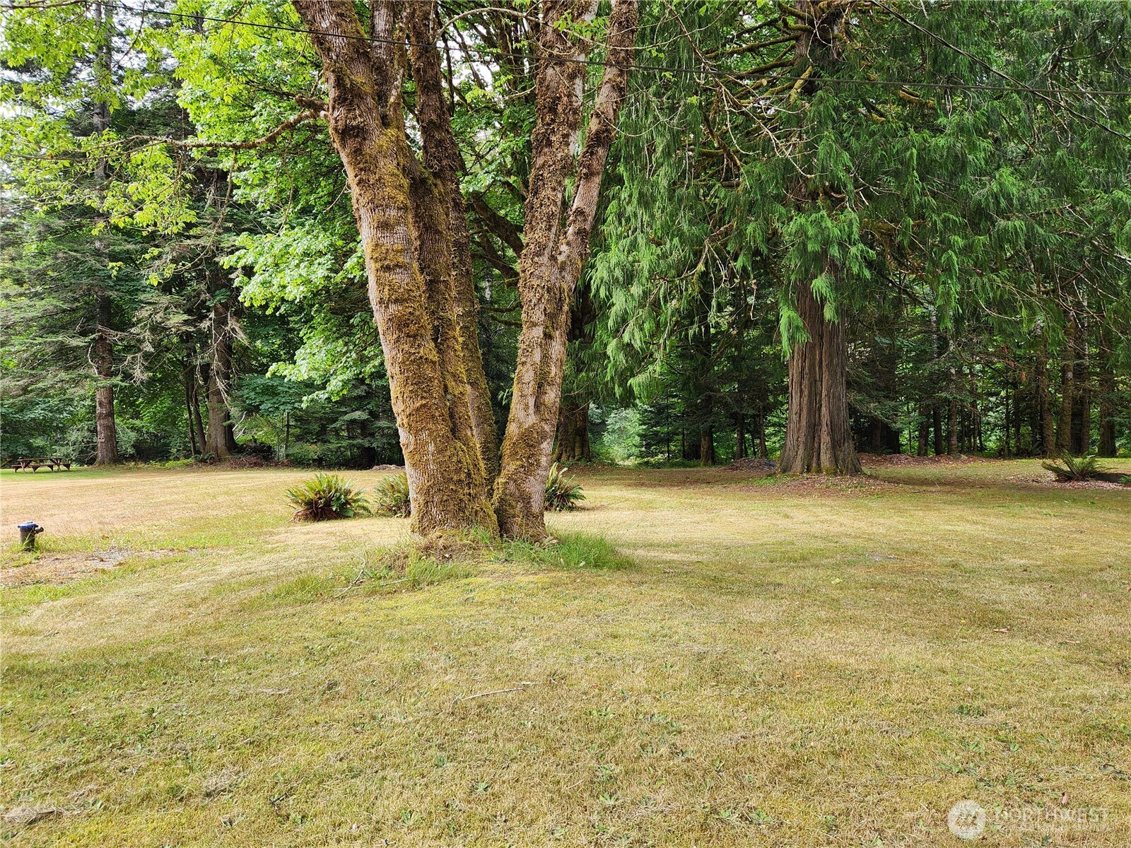0 Lot 231 Arabian Drive Property Photo 19