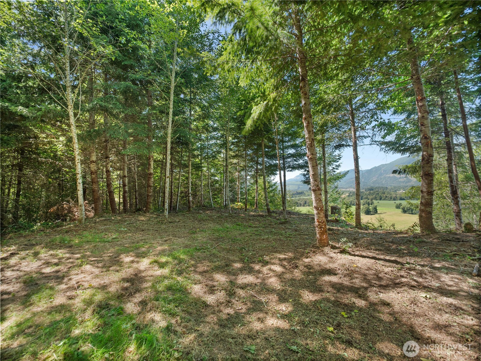 2 Skinner Road Property Photo 10