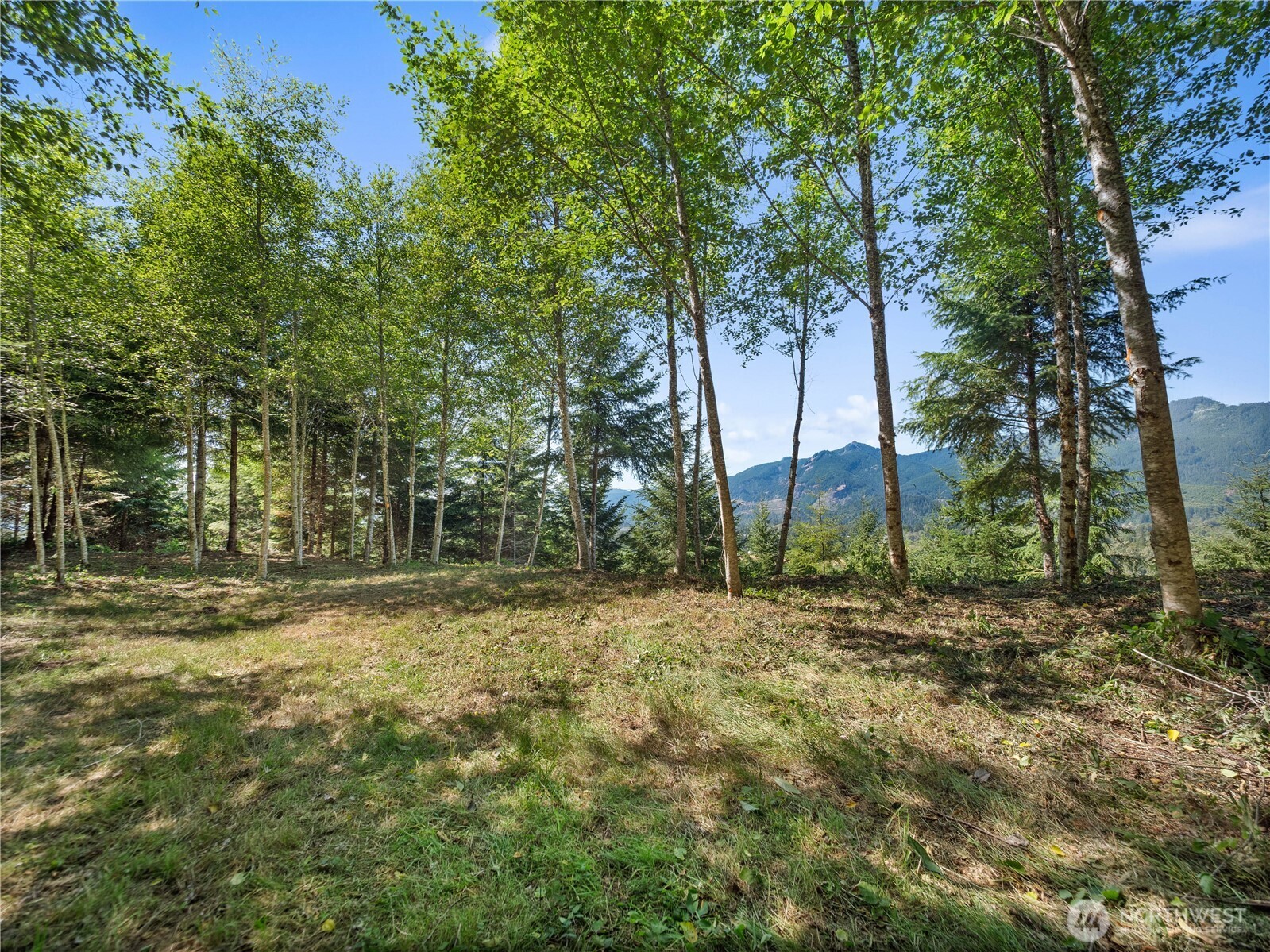 2 Skinner Road Property Photo 13