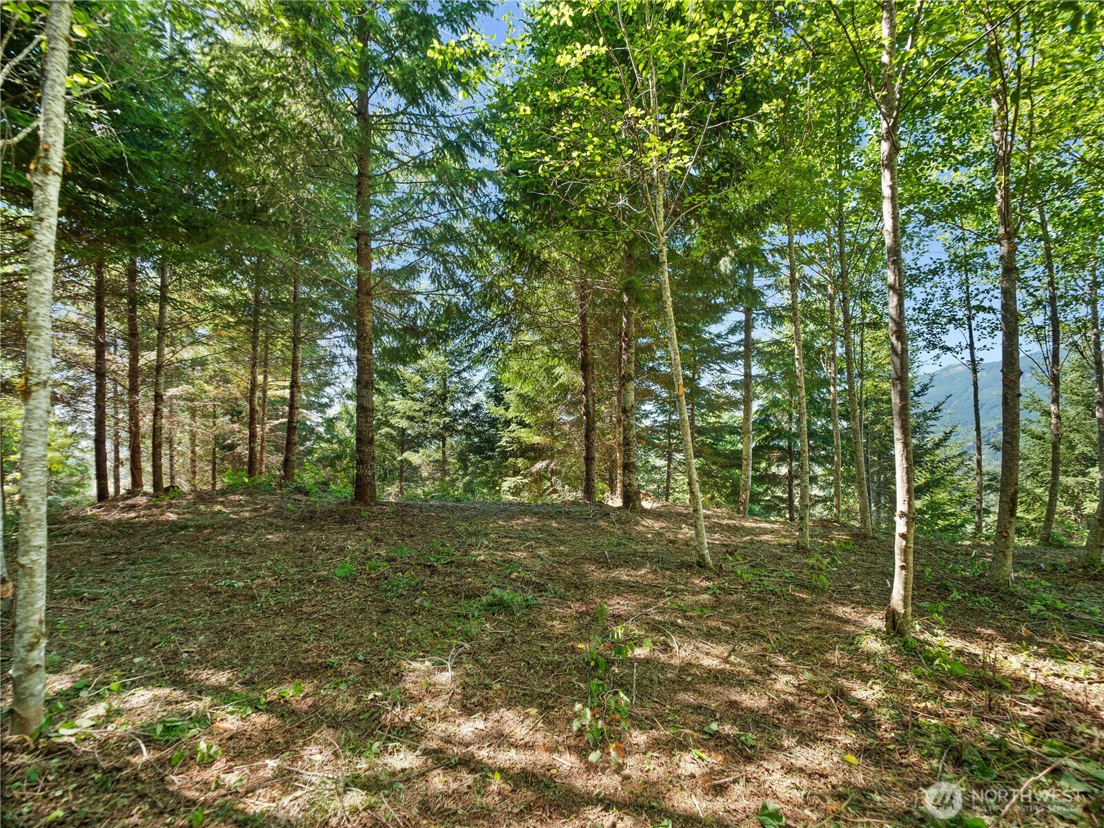 2 Skinner Road Property Photo 17