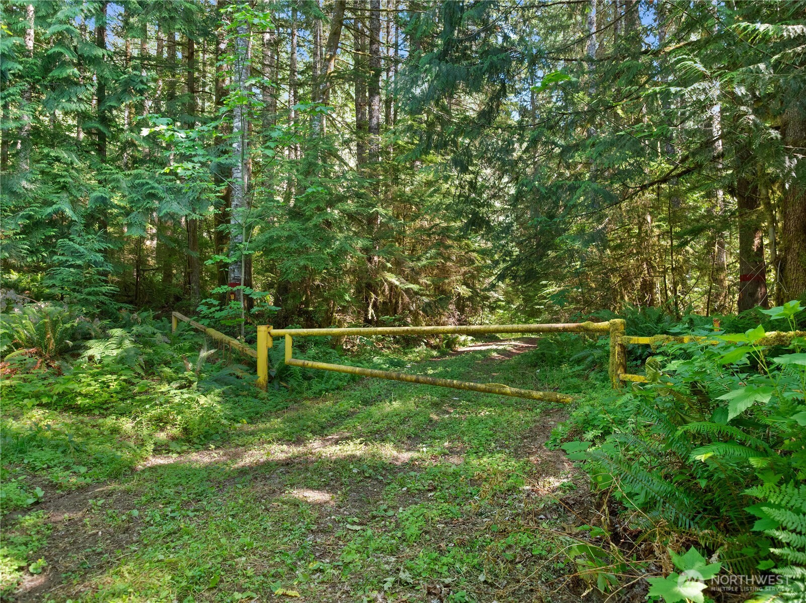 2 Skinner Road Property Photo 18