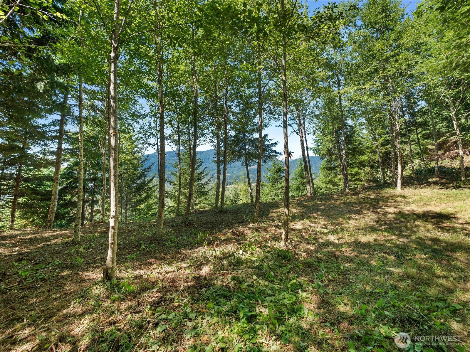 2 Skinner Road Property Photo 20