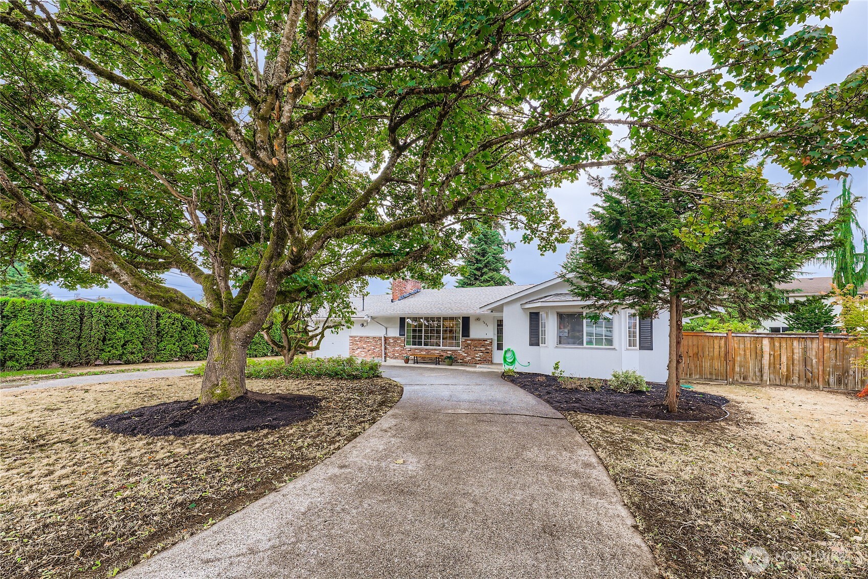 1227 Short Street