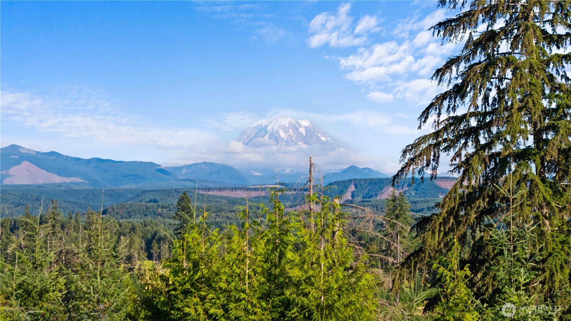 23119 164th Street Property Photo 35