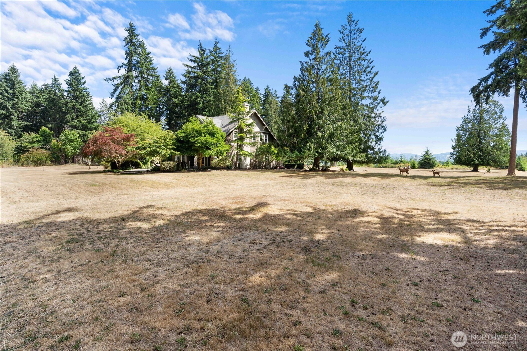 23119 164th Street Property Photo 37