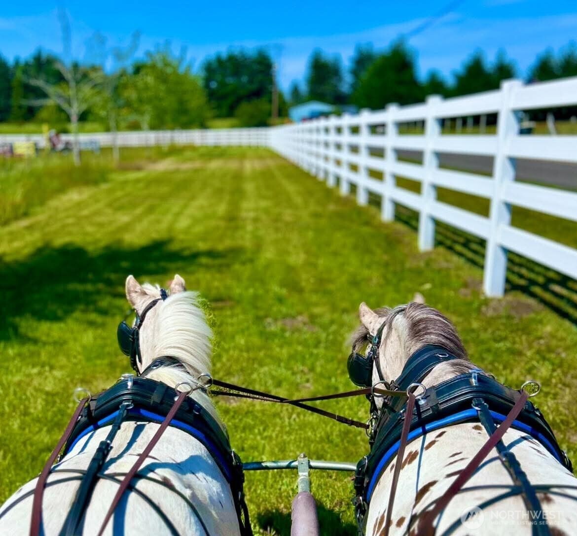 4711 176th Avenue Property Photo 1