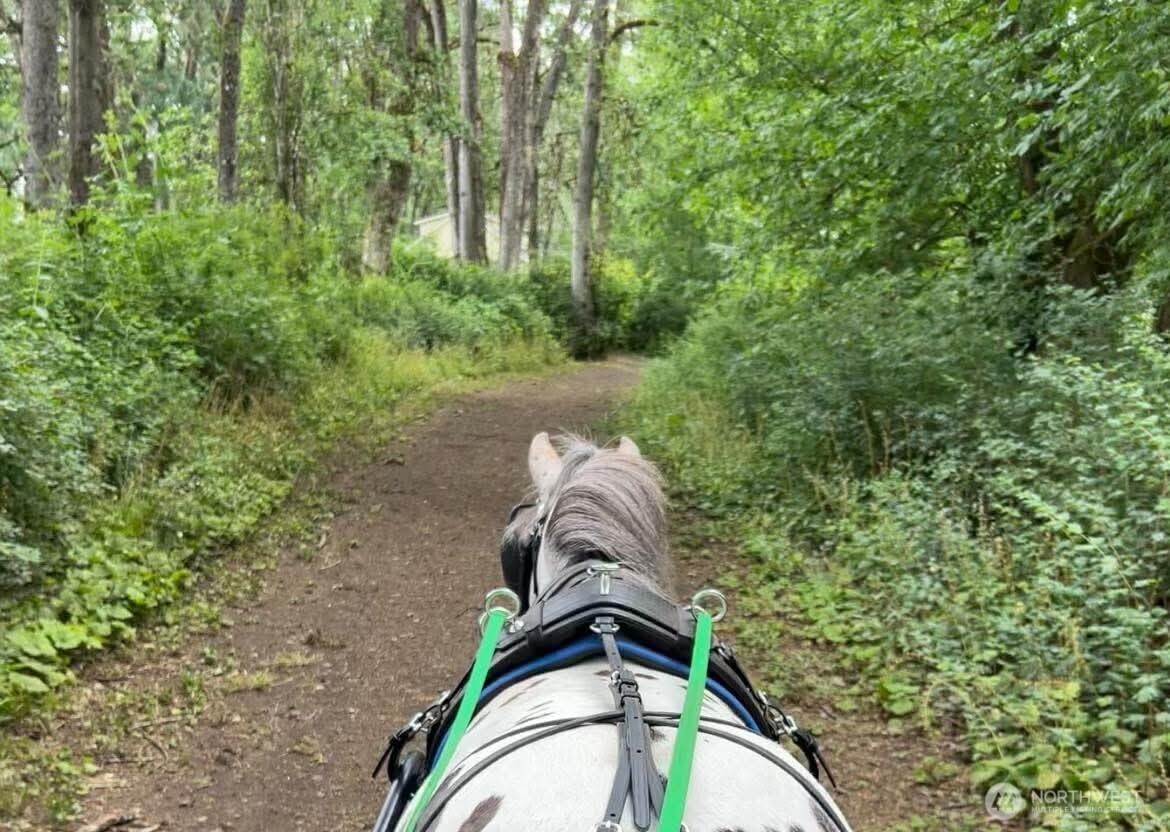 4711 176th Avenue Property Photo 13