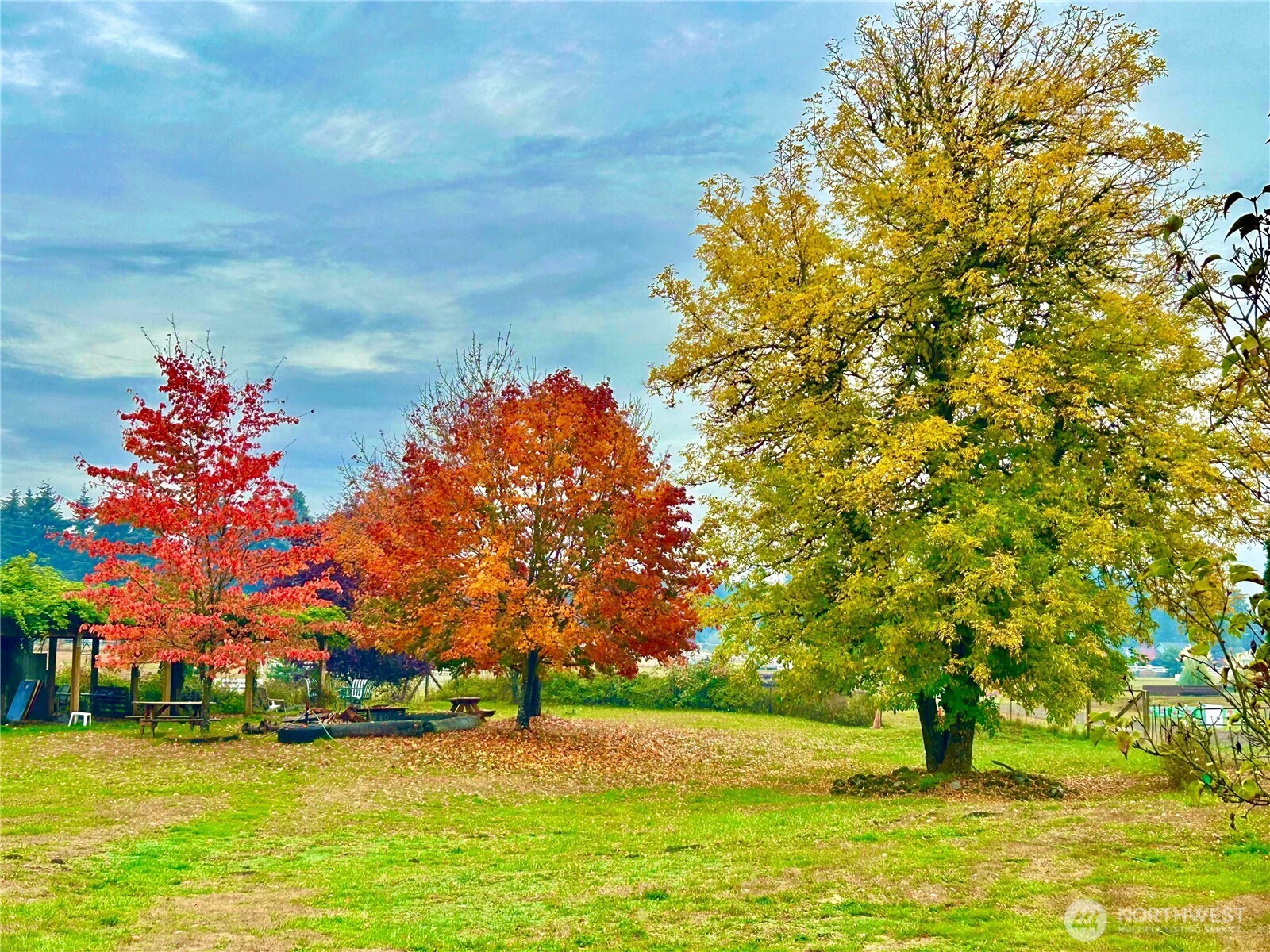 4711 176th Avenue Property Photo 23