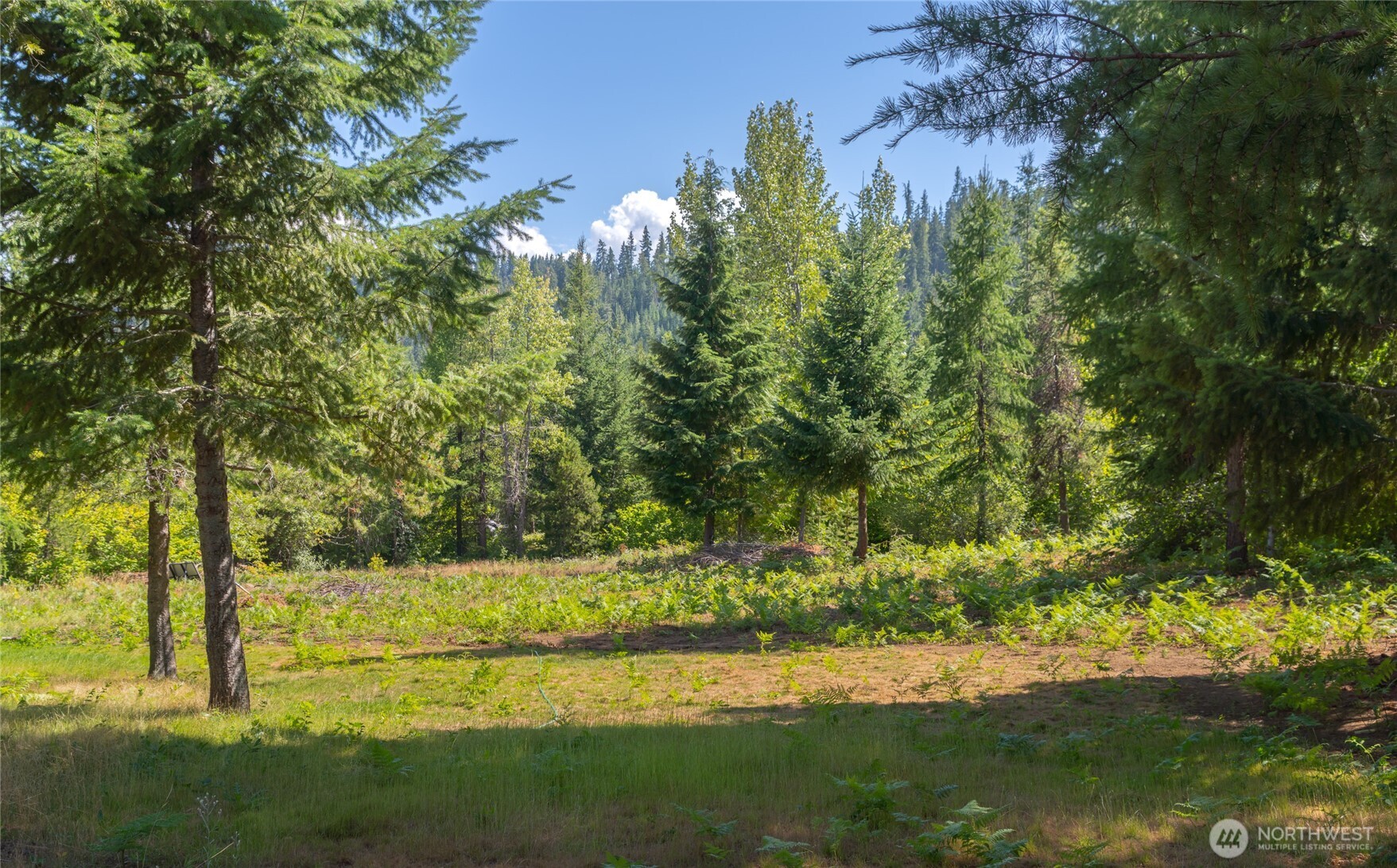 190 Tumble Creek Drive Property Photo 4