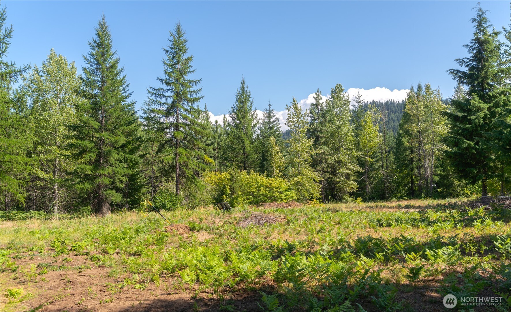 190 Tumble Creek Drive Property Photo 5