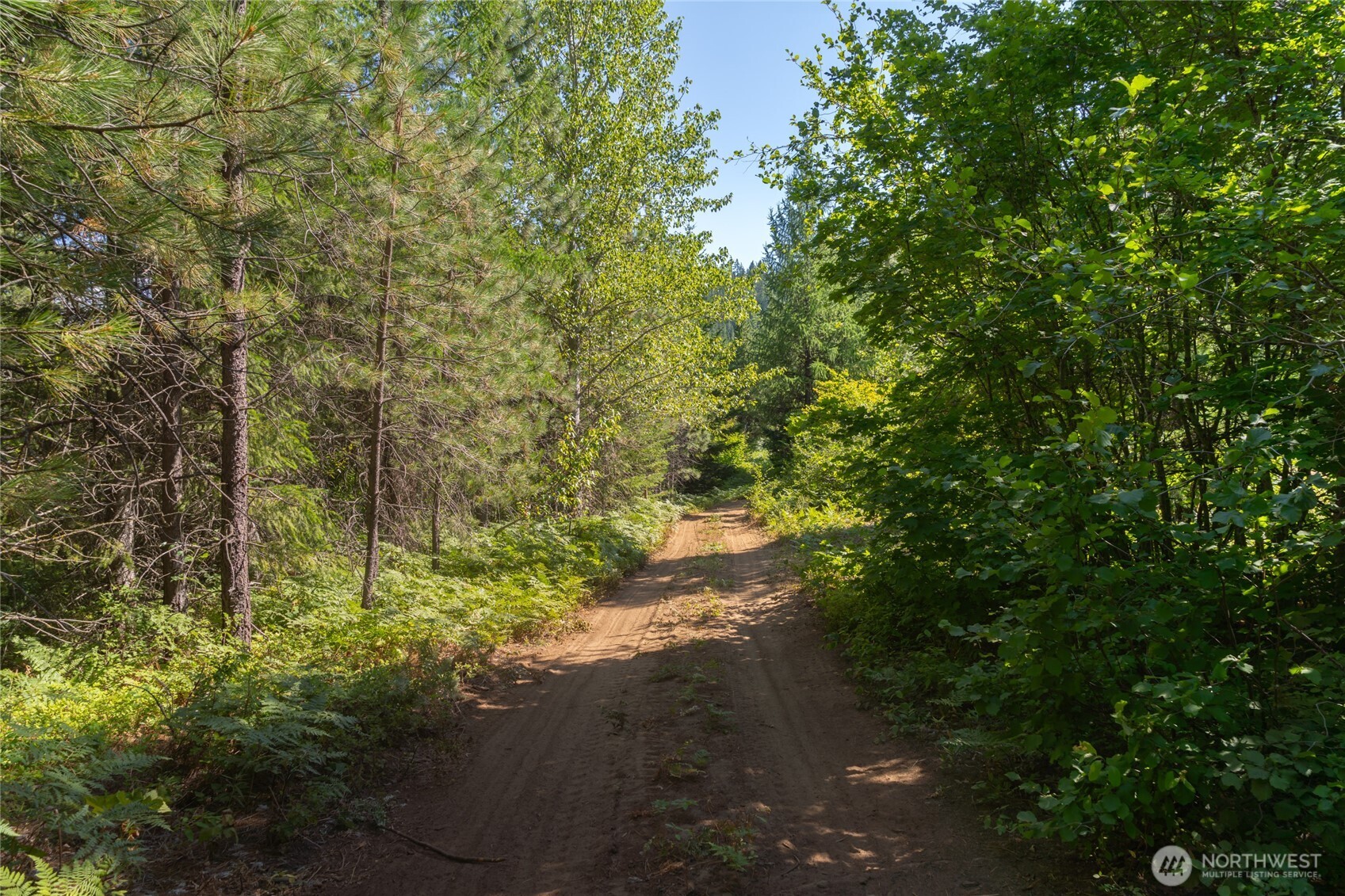 190 Tumble Creek Drive Property Photo 6