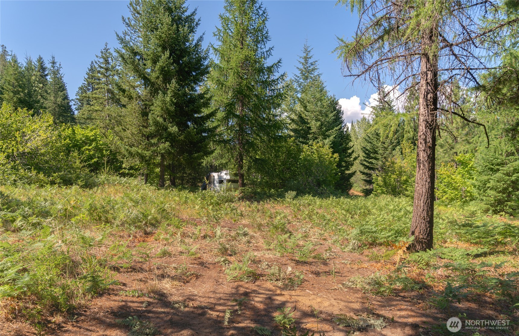 190 Tumble Creek Drive Property Photo 8